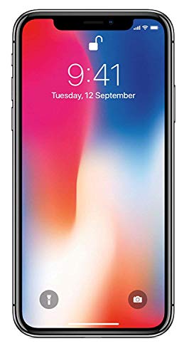 Apple iPhone X, 64GB Gray
